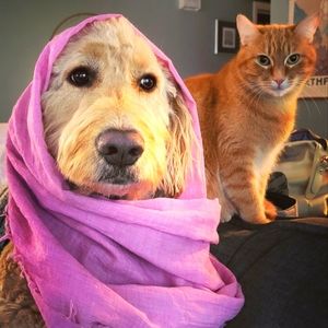 My closet consists of an eclectic array of gently-used 👗👚👖 and 👜